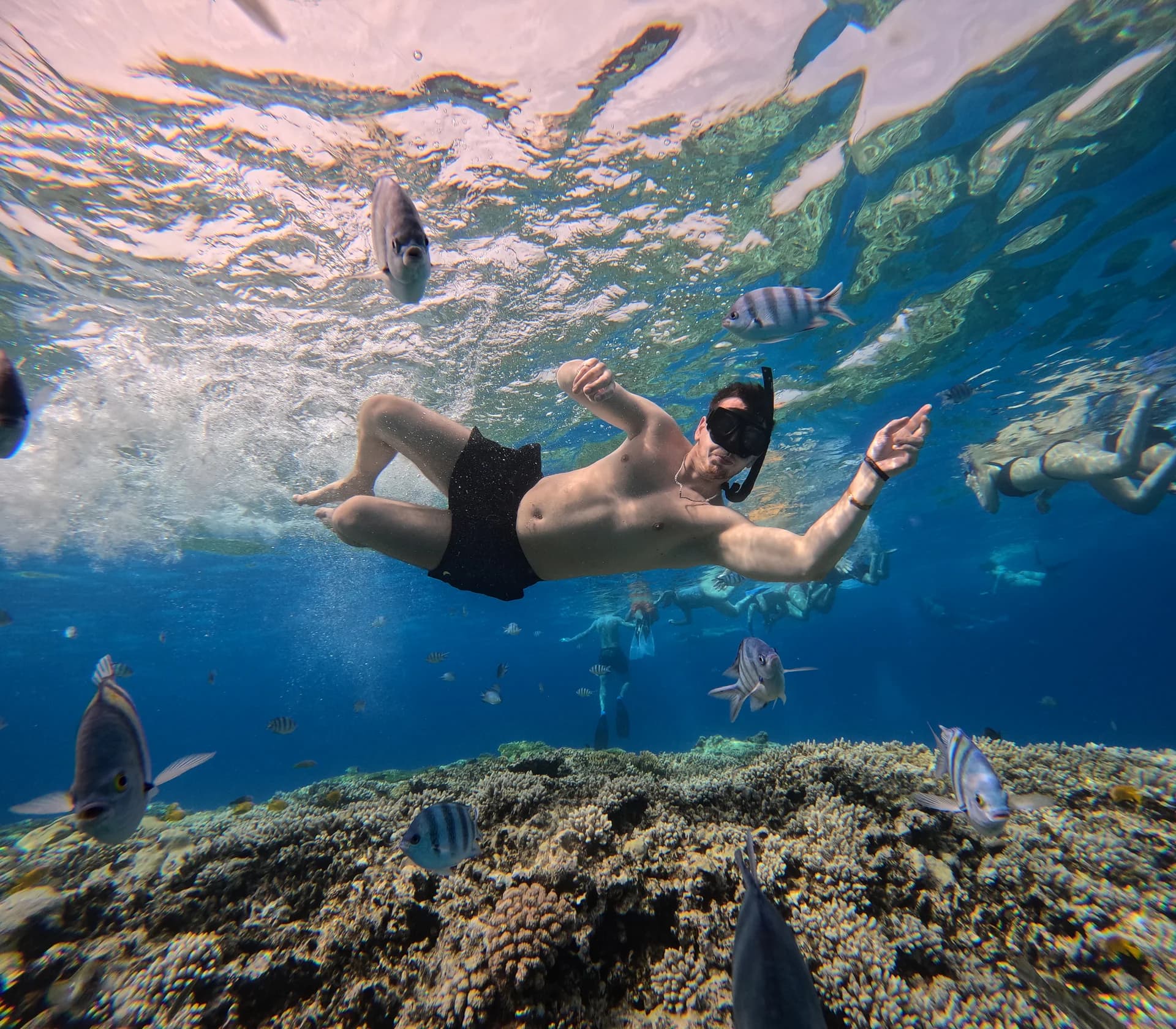 Snorkeling above the coral reef in the Orange Bay tour photo collection