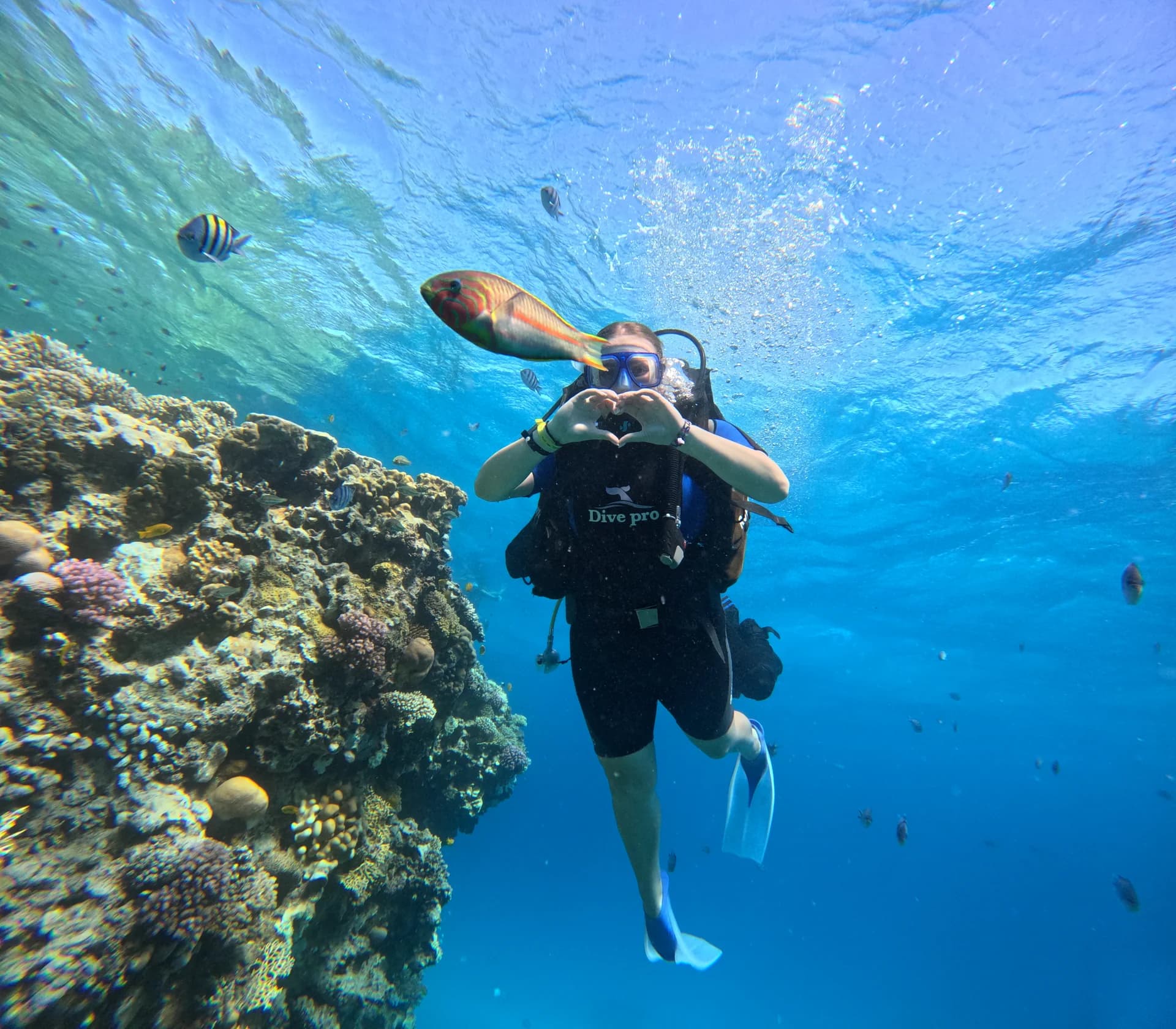 Scuba diver breathing from a regulator near a coral reef